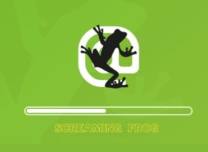 cómo configurar Screaming Frog